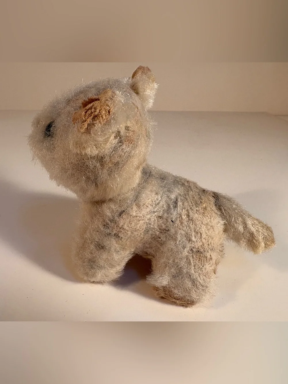 Vintage Steiff Tabby Kitten made in Germany.